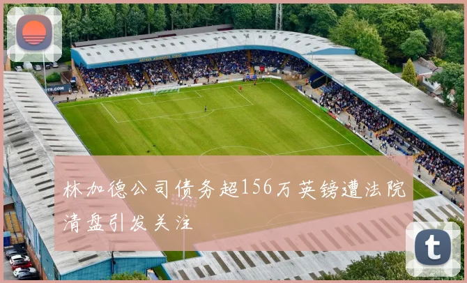 林加德公司债务超156万英镑遭法院清盘引发关注